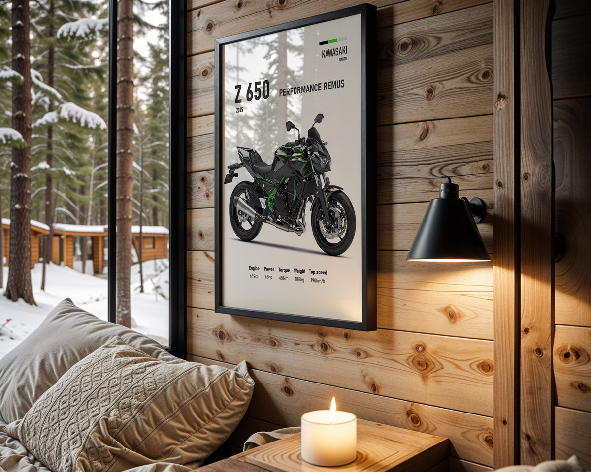 Kawasaki Z650 Performance Remus motorcycle wall art in a black frame